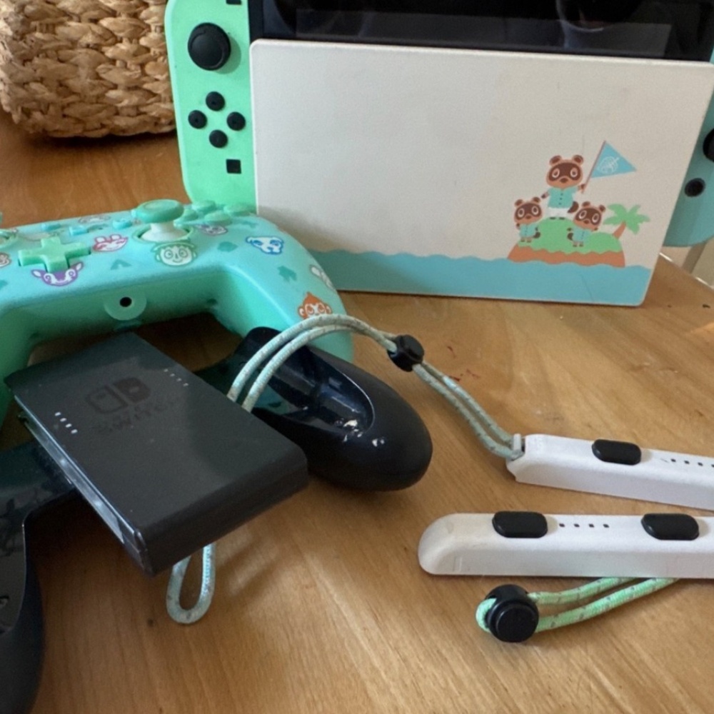 Nintendo switch animal crossing